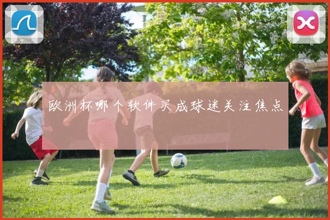 欧洲杯哪个软件买成球迷关注焦点