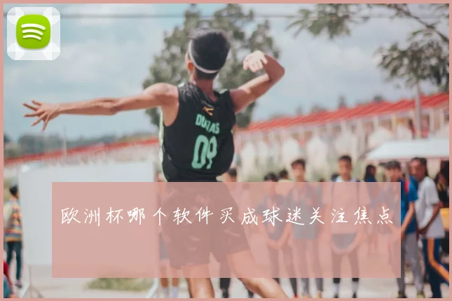 欧洲杯哪个软件买成球迷关注焦点