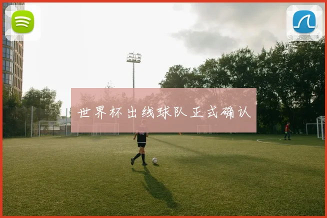 世界杯出线球队正式确认