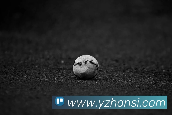 mksports登录入口平台生态图